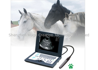 中国 CLS5800ラップトップの十分の獣医の超音波の走査器のデジタル超音波診断システム サプライヤー